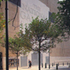 Orange street elevation