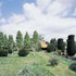 The studio sits in the garden of the client